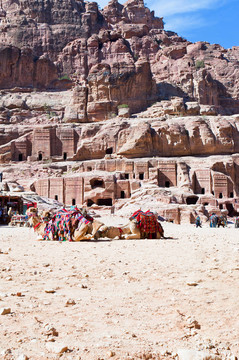 貝多因營地上正面；Petra；約旦