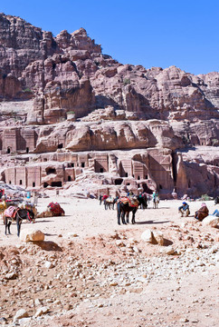 貝多因營(yíng)地上正面；Petra；約旦