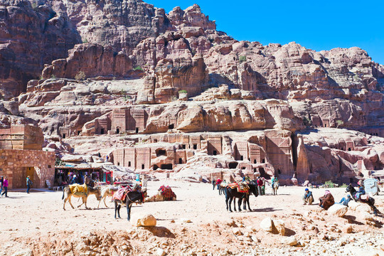 貝多因營(yíng)地上正面；Petra；約旦