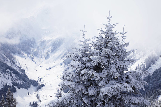 霧山