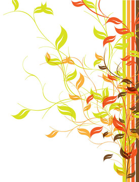 花的