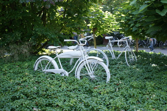 舊自行車(chē)