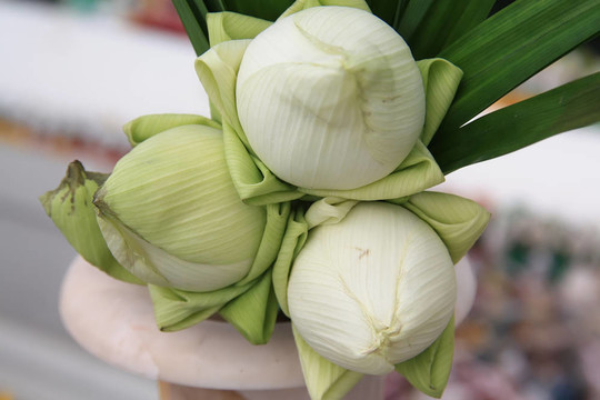 蓮花