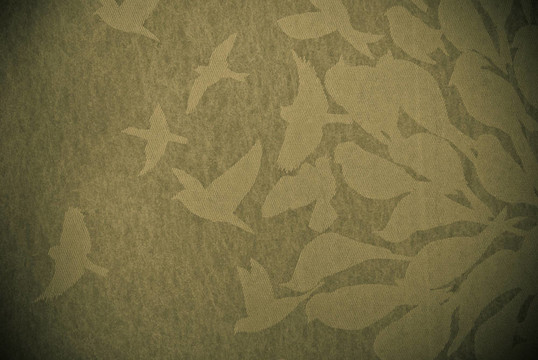 鳥抽象背景或紋理