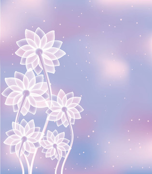 摘要：白色的花