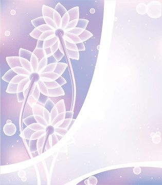 摘要：白色的花