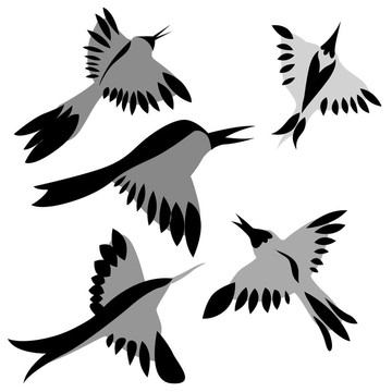 裝飾畫的鳥
