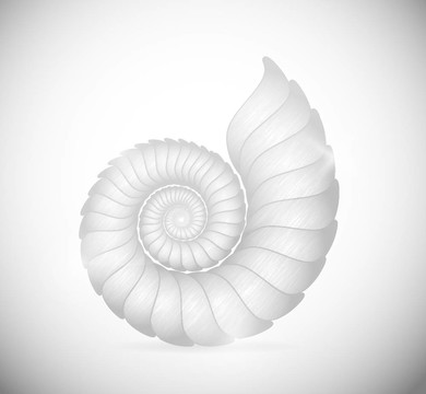 貝殼