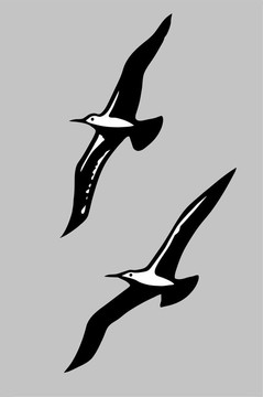 灰色背景下飛鳥(niǎo)的剪影；插圖