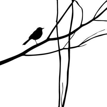樹枝上的鳥剪影；插圖