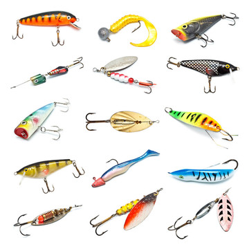 魚(yú)餌收藏