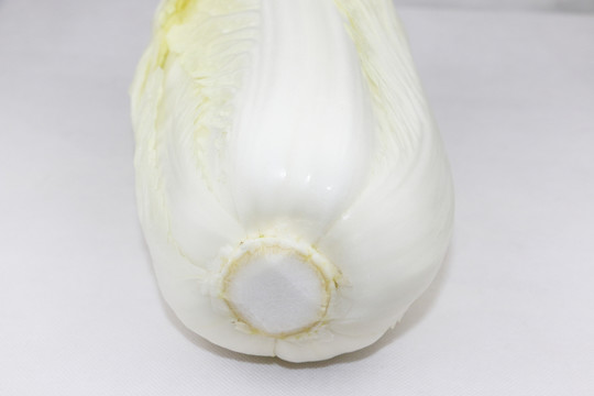 白菜頭特寫
