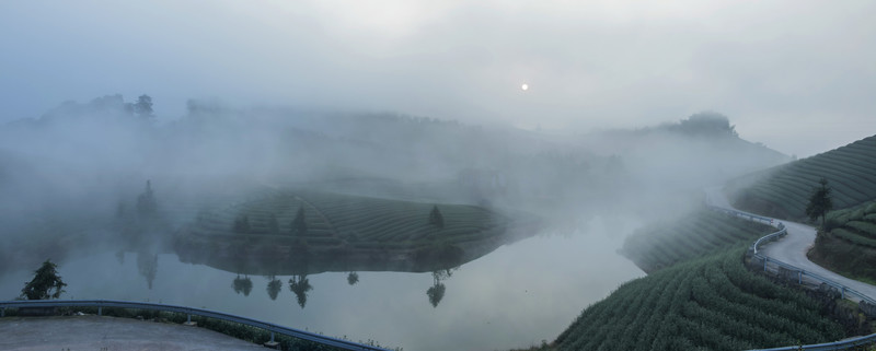 茶場風(fēng)光