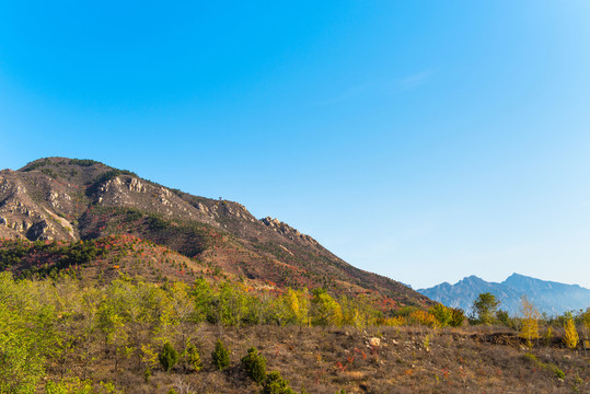 秋天的山坡 風(fēng)景 山 自然