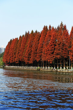 運河