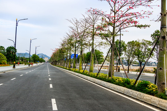 馬路 公路綠化 建筑園林