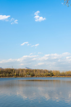 樹林在湖邊 延慶風(fēng)景 延慶農(nóng)場(chǎng)