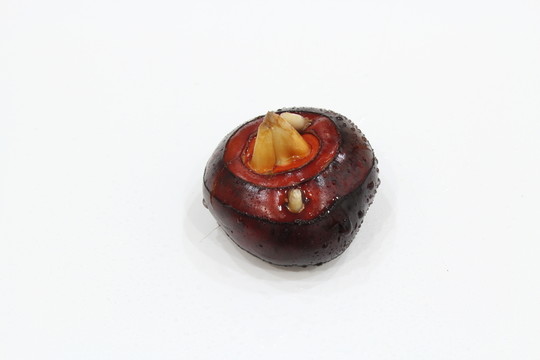 荸薺 新鮮荸薺