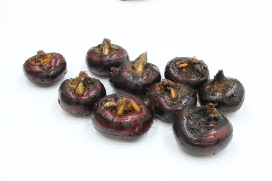 荸薺 新鮮荸薺