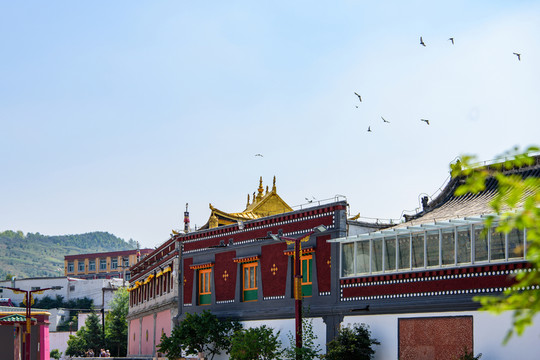 塔爾寺