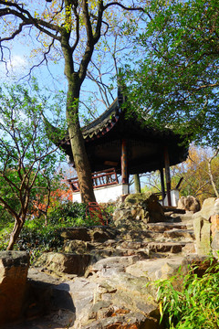 拙政園小景