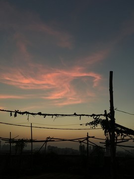 朝霞 晨光