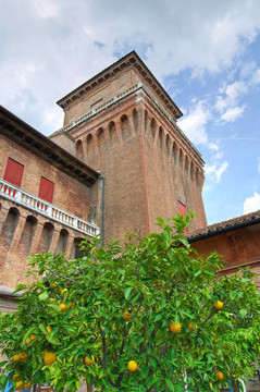橘子花園。埃斯騰斯城堡。Emilia Romagna。意大利.
