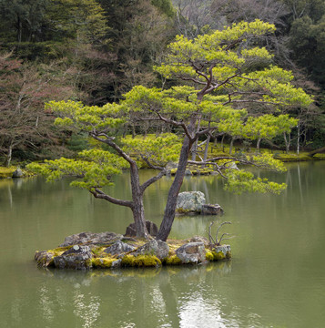 日本式庭園