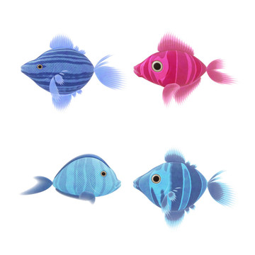 四魚的插圖
