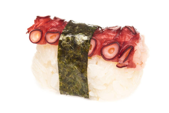 日本壽司與肉章魚在白色背景