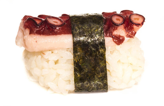 日本壽司與肉章魚在白色背景