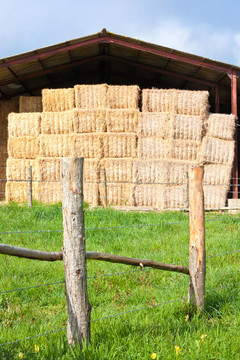 Haystack存儲和柵欄