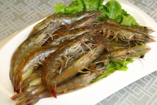 對(duì)蝦
