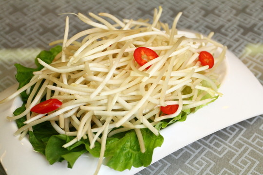 綠豆芽