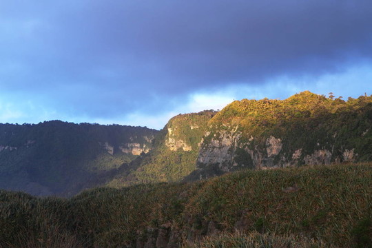 新西蘭景觀