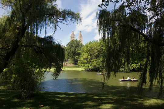 中央公園