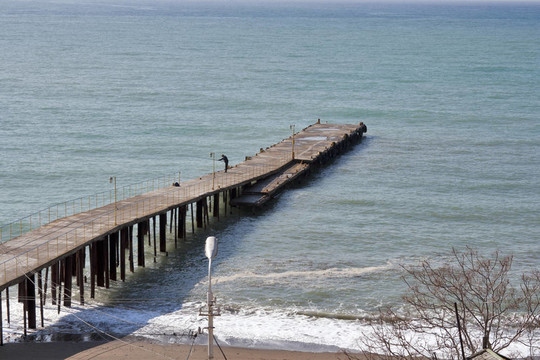 海碼頭
