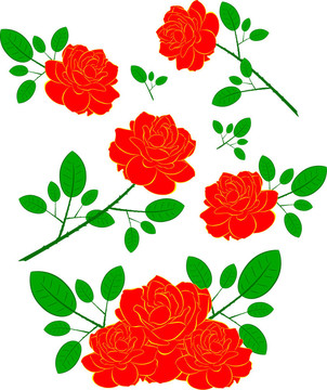 紅玫瑰插圖