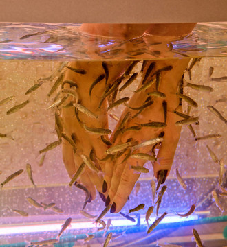 魚療法