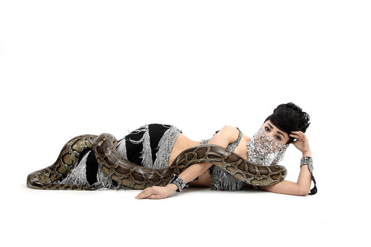 肚皮舞與Python