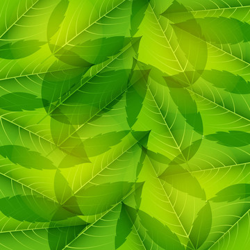 綠葉無(wú)縫圖案。插畫。