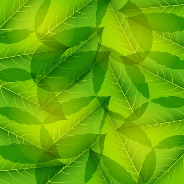 綠葉無縫圖案。插畫。