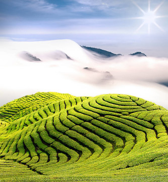 戲劇云和茶園