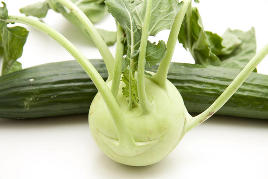 Kohlrabi用黃瓜