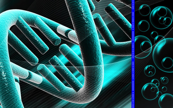 DNA