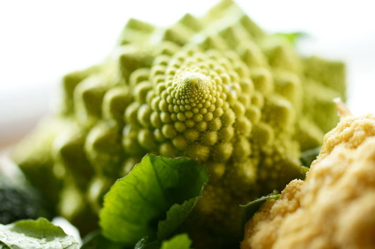 蔬菜