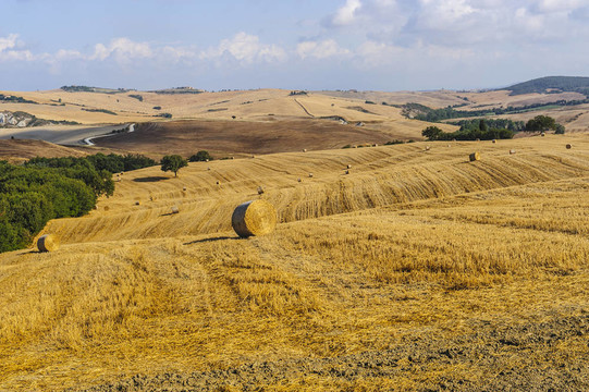 Val d Orcia（托斯卡納）景觀
