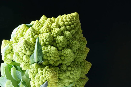 菜花