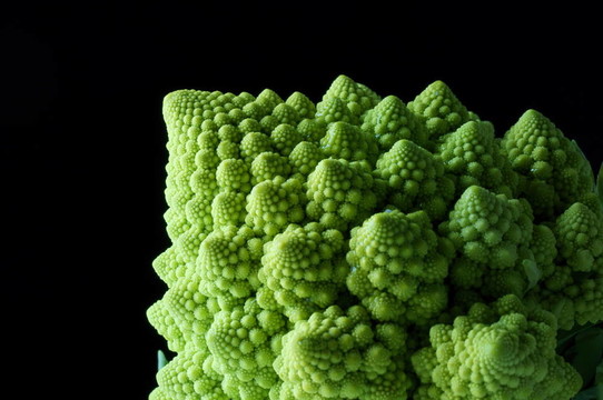 菜花