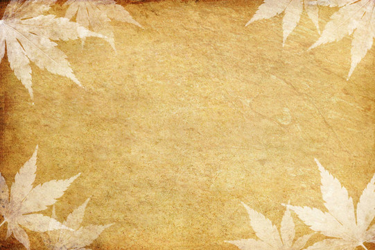 老垃圾論文和復(fù)制空間葉